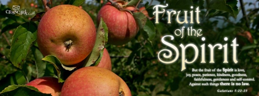 Spiritual and Natural&nbsp;Bullying